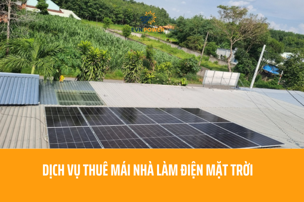 Dịch Vụ Thuê Mái Nhà Làm Điện Mặt Trời