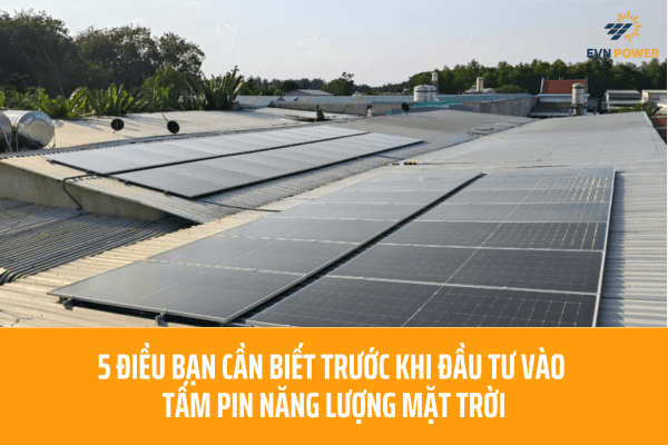 tấm pin năng lượng mặt trời