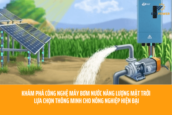 Máy Bơm Nước Năng Lượng Mặt Trời